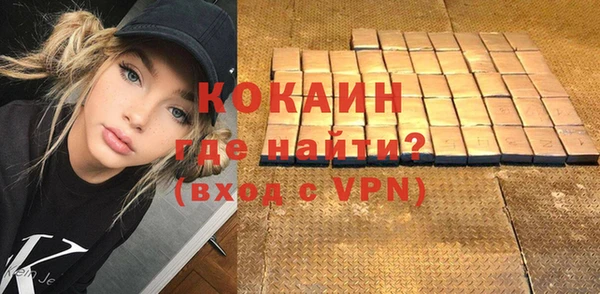 мет Алексин