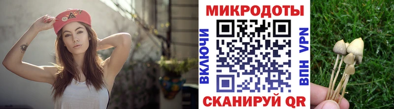 Галлюциногенные грибы Psilocybe  Чапаевск 