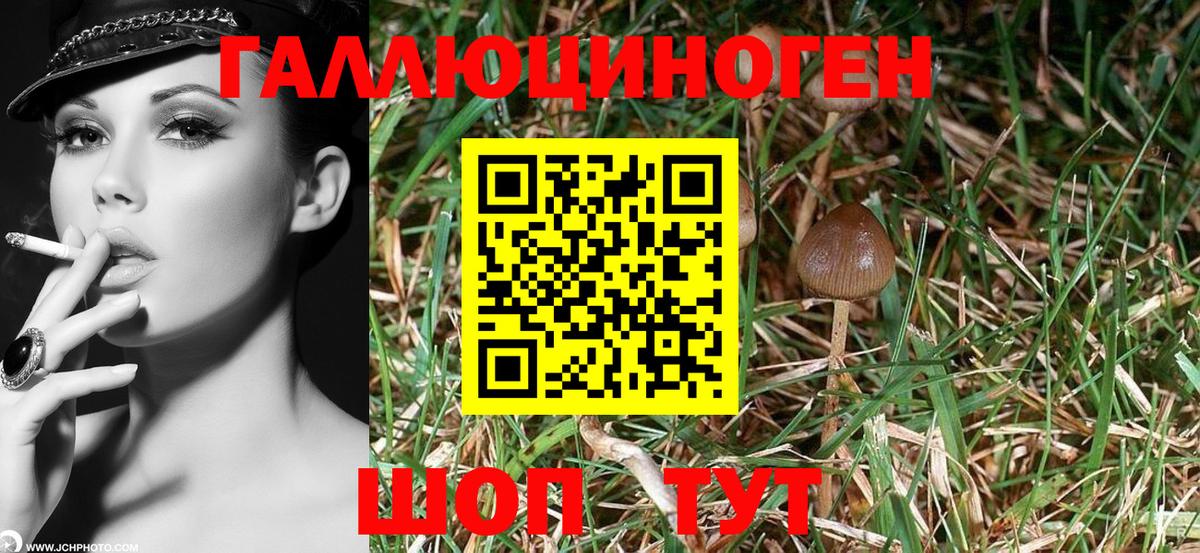Галлюциногенные грибы ЛСД Чапаевск